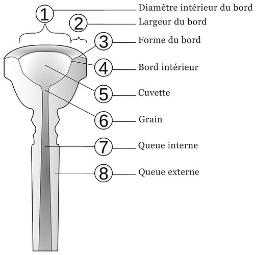coupe-embouchure-cuvette-grain-bord-queue-apprendre-la-trompette