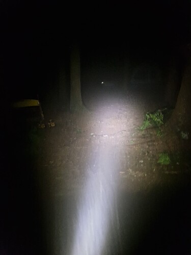 1000017572