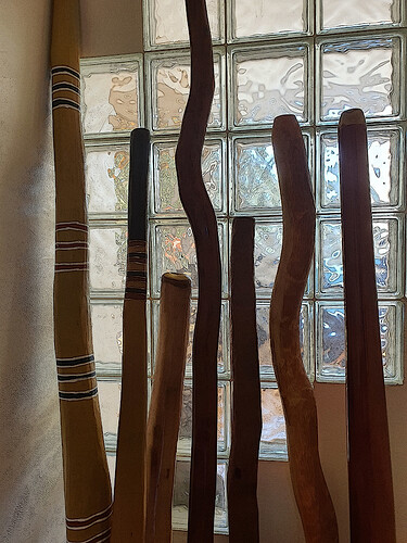Didgeridoo4