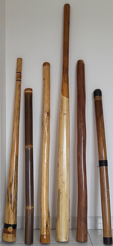 Didgeridoos